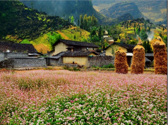 Thung lũng Sủng Là - nơi đá nở hoa