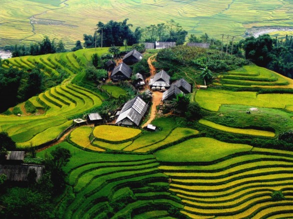 Phải lòng Ruộng bậc thang Tây Bắc