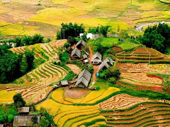 Tả Phìn - Làng của người dao đỏ