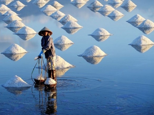 Ngắm vẻ đẹp 