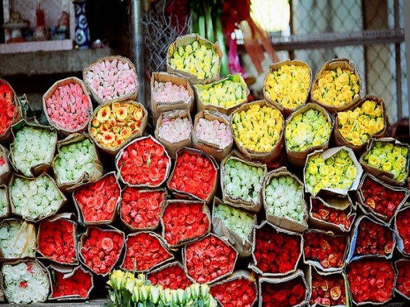 Ghé chợ hoa Hồ Thị Kỷ
