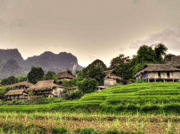 Tháng 6 - Hòa Bình: 