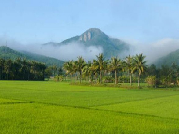 Cao nguyên Vân Hòa như Đà Lạt mù sương