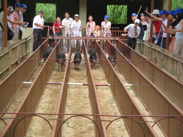 Làng du lịch Mỹ Khánh