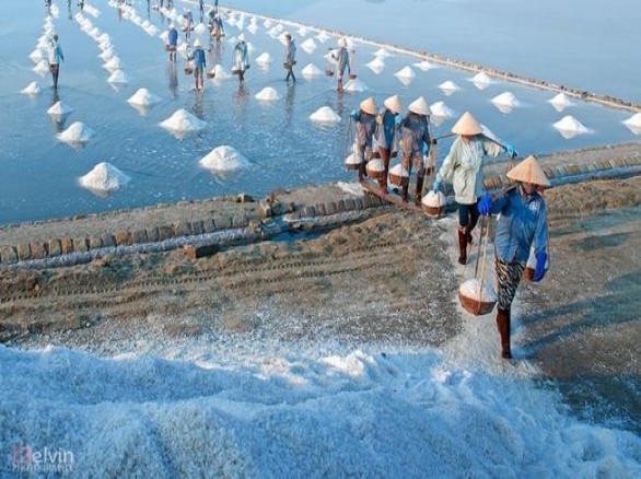 Cánh đồng muối lớn Hòn Khói