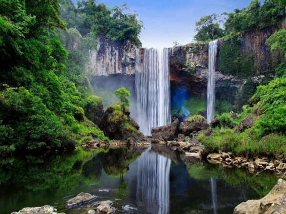 Ghé thăm Khu bảo tồn thiên nhiên ở Quảng Ngãi