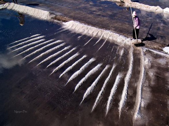 Ghé thăm ruộng muối Vũng Tàu