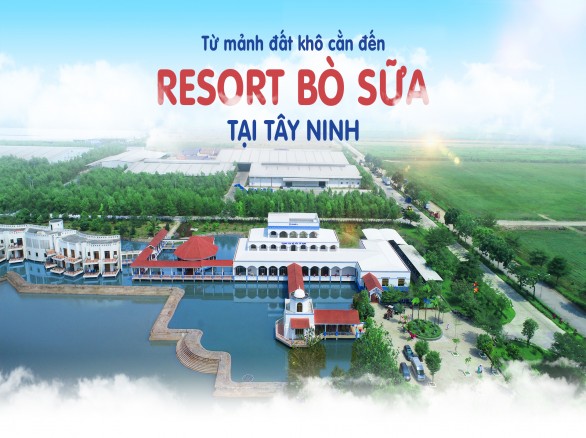 Mê mẩn Resort Bò sữa tại Tây Ninh