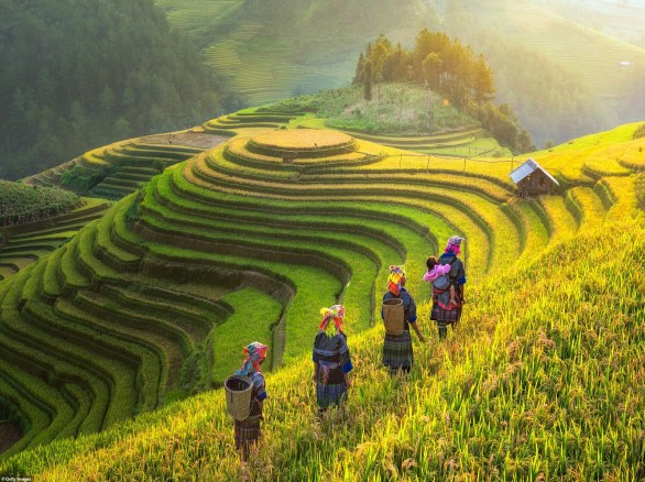 Đi qua những thửa ruộng bậc thang ở huyện Mù Cang Chải