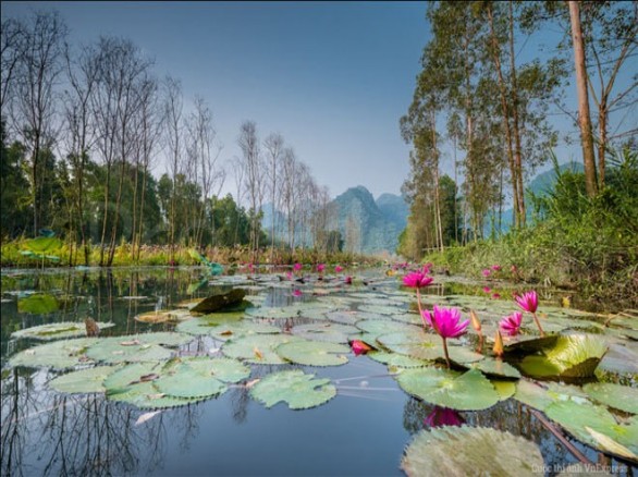 “Suối Yến mùa thu”