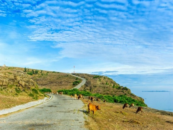 Bình yên trên đảo Lý Sơn